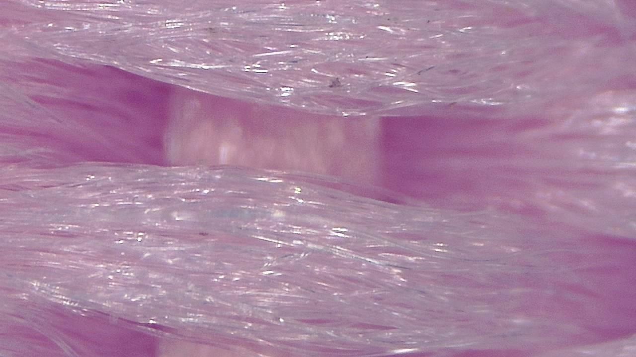 STEM Classrooms and Teaching Labs microscopy sample image 13