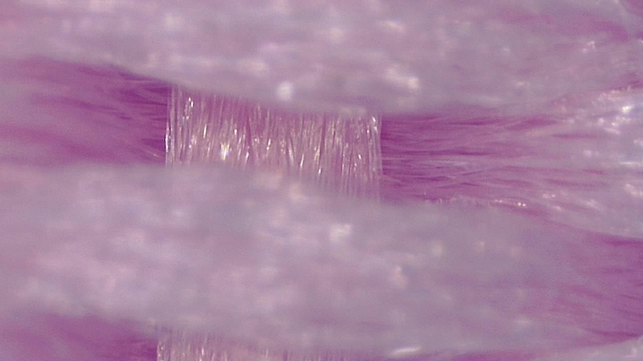 STEM Classrooms and Teaching Labs microscopy sample image 14