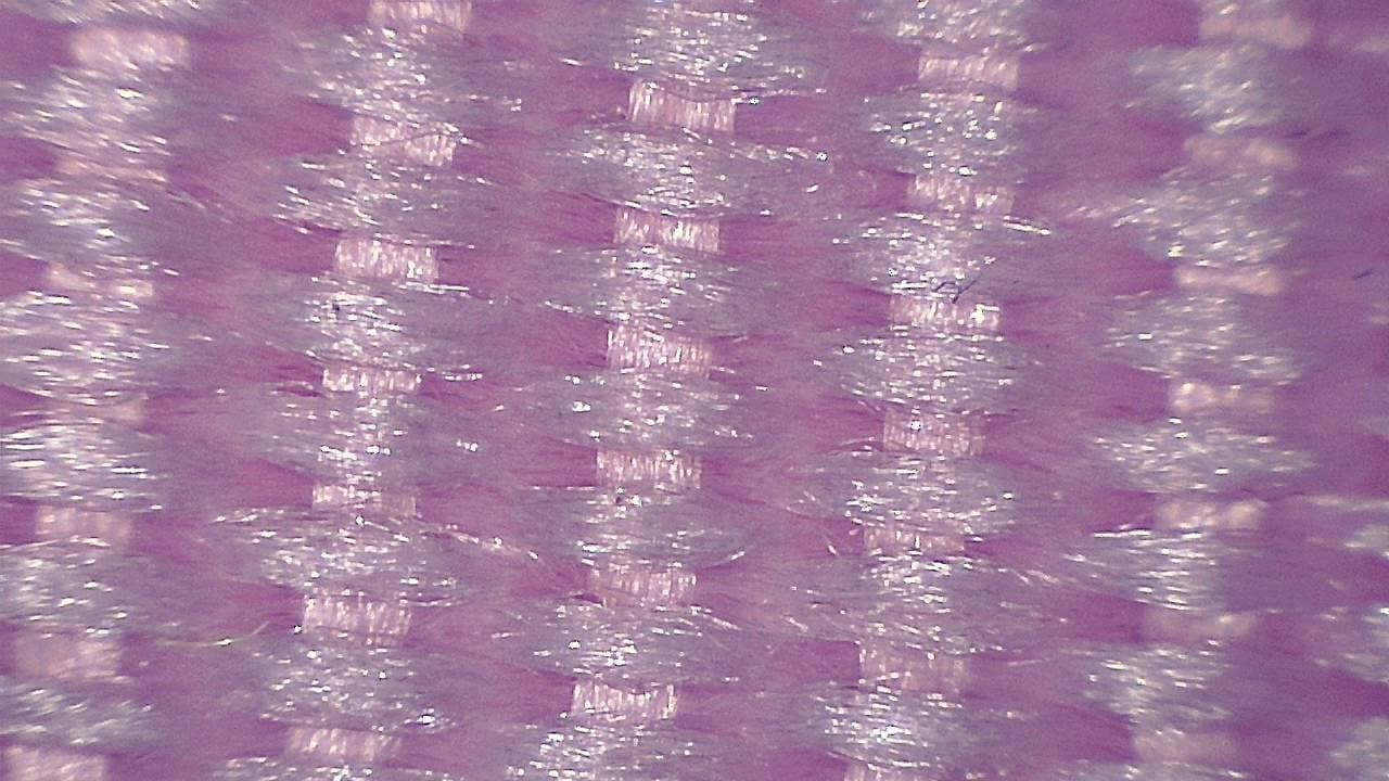STEM Classrooms and Teaching Labs microscopy sample image 15