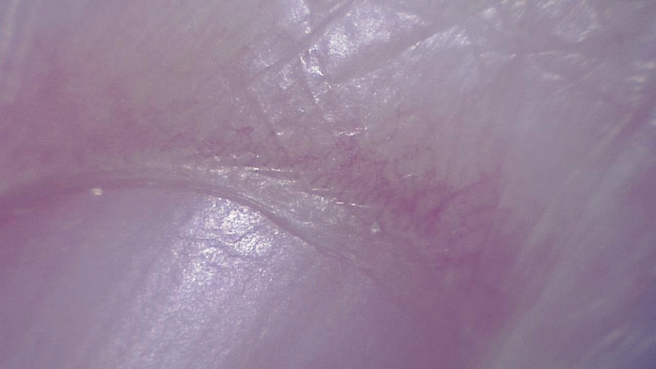 STEM Classrooms and Teaching Labs microscopy sample image 17