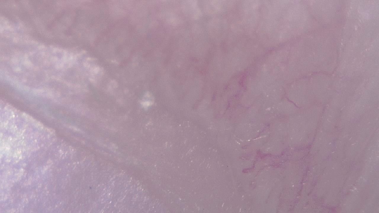 STEM Classrooms and Teaching Labs microscopy sample image 19