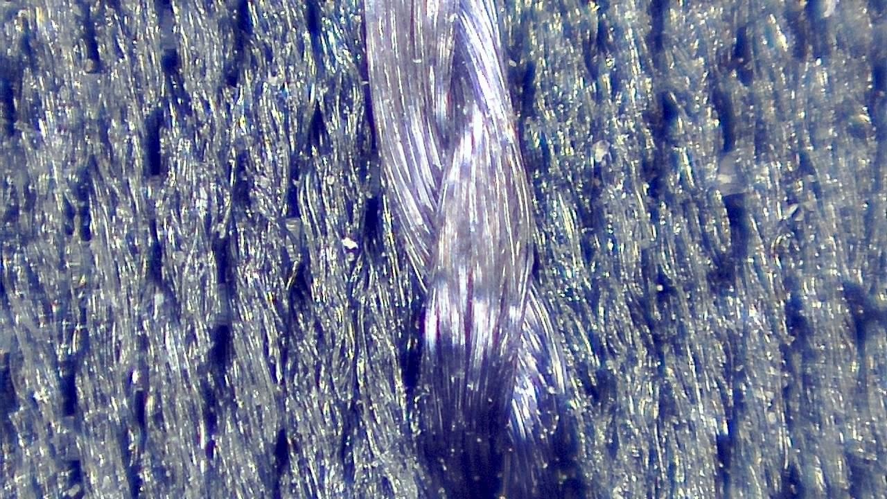 STEM Classrooms and Teaching Labs microscopy sample image 33