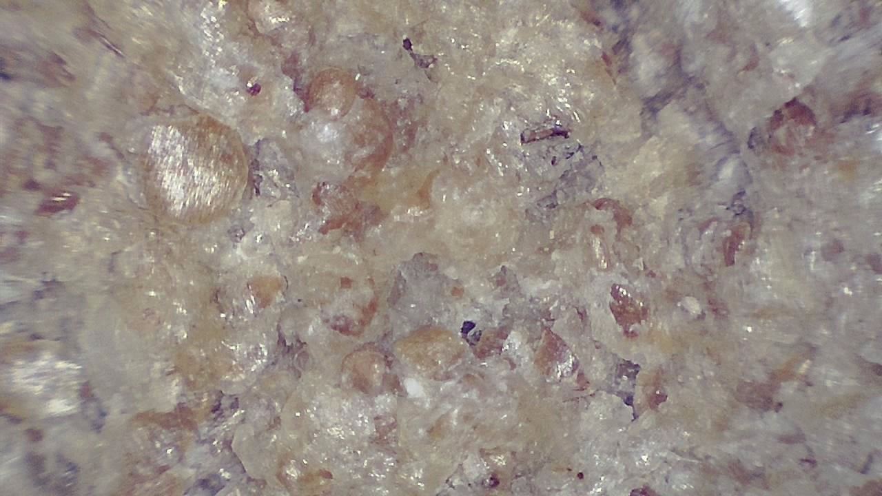 Food Industry microscopy sample image 8