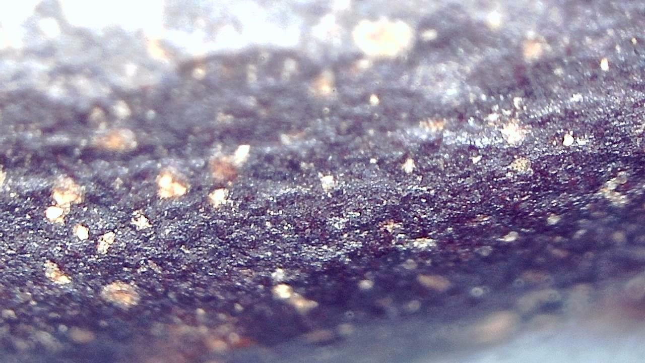 Food Industry microscopy sample image 21