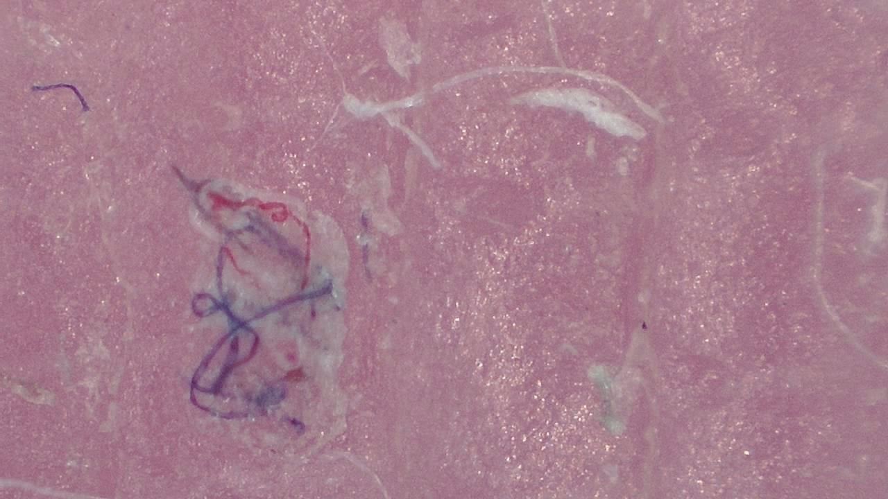 Advanced Aesthetics and Cosmetology microscopy sample image 15