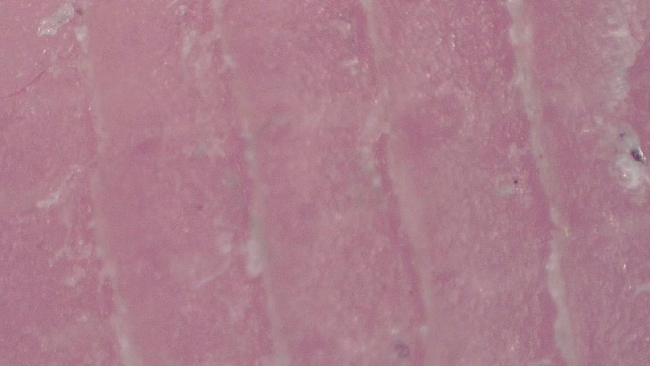 Advanced Aesthetics and Cosmetology microscopy sample image 16